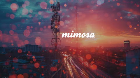 Economics of Fiber or Wireless