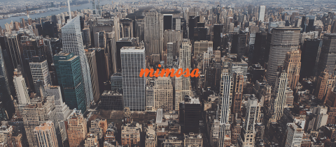Interference Mitigation with Mimosa