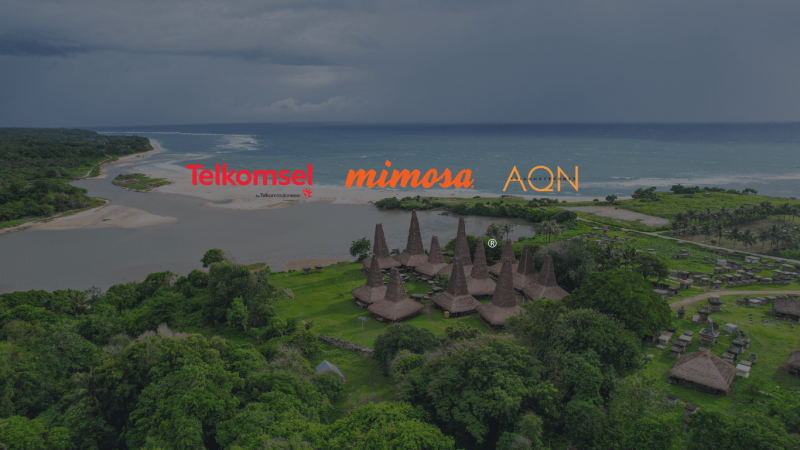 AQN Telkomsel Backhaul Case Study